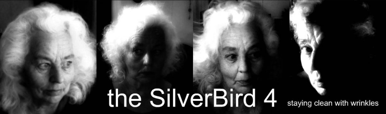 THE SILVERBIRD 4